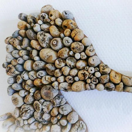 شقة Am Sahlenburger As23